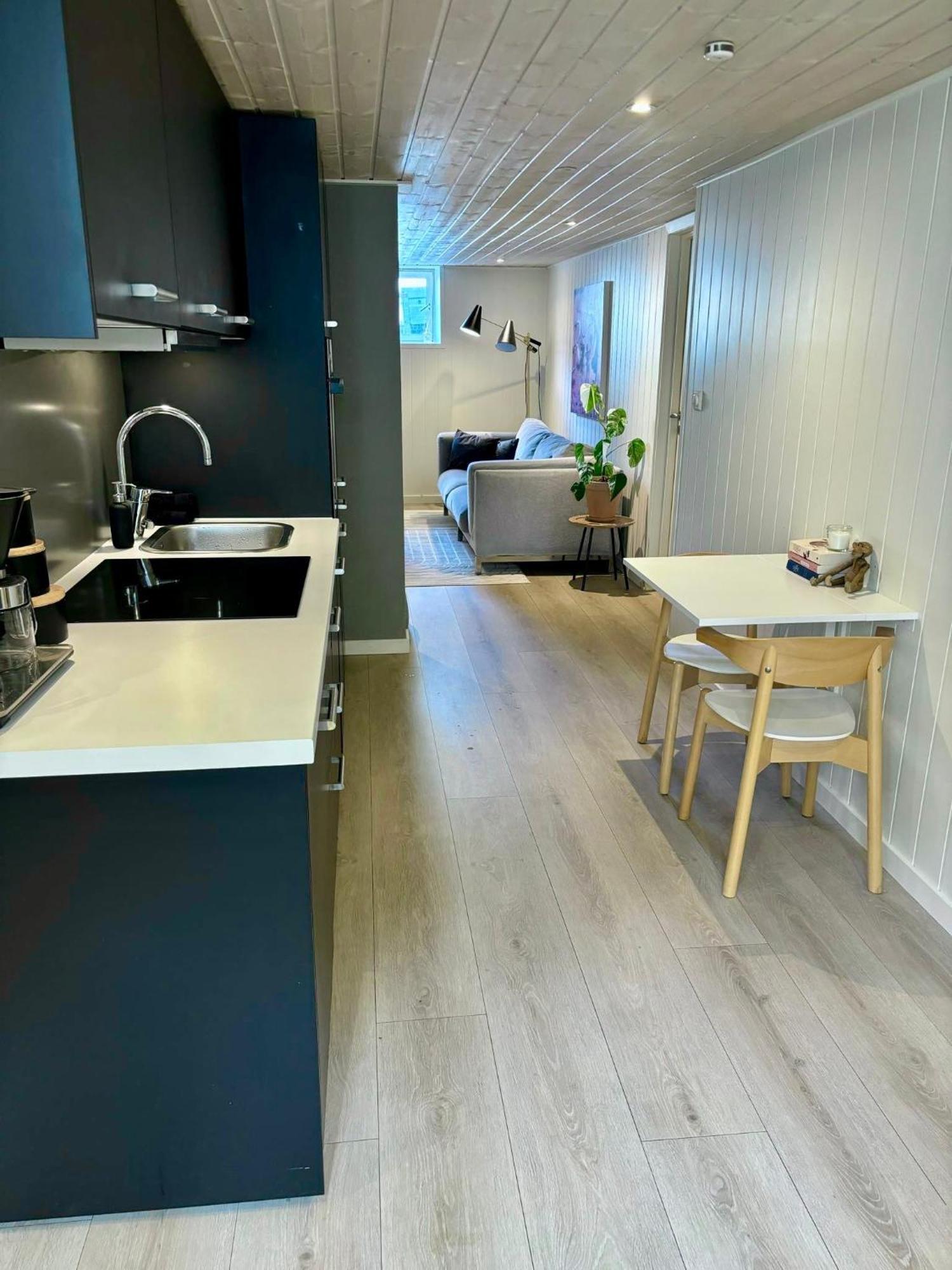 Down Town Apartment With Outside Area In Villa Kristiansand Extérieur photo
